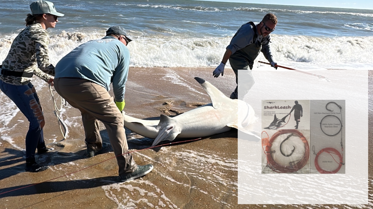 fishing bait lure closeup